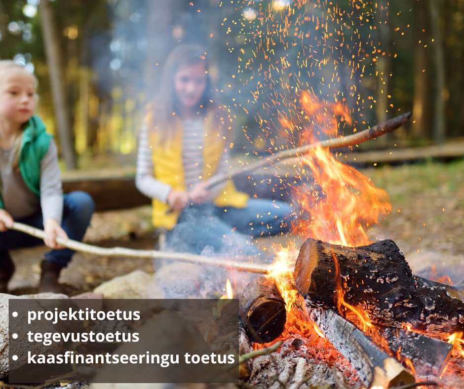 MTÜ-de toetuse postitus kodukale.png